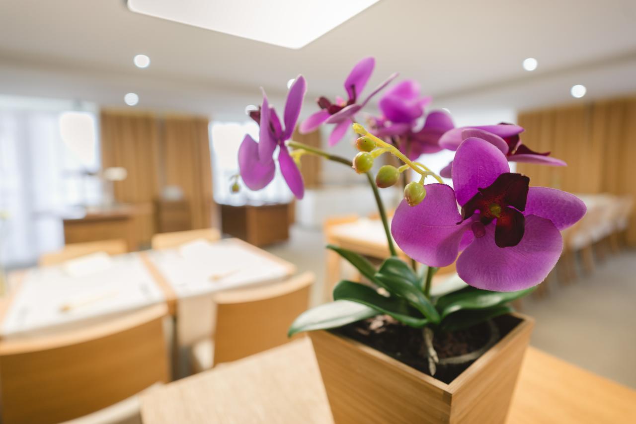 Village Resort Hanuliak Belá 외부 사진